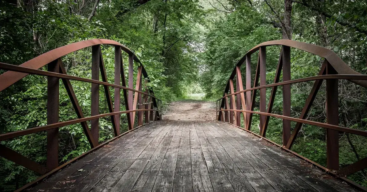 WellnessBridge: un puente entre todas las versiones de ti